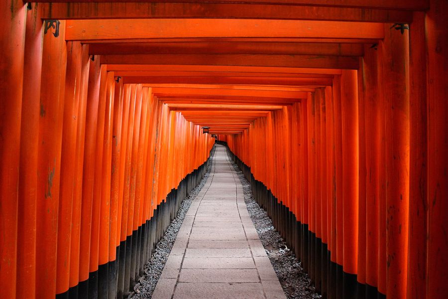 Torii gate tunnel, Kyoto