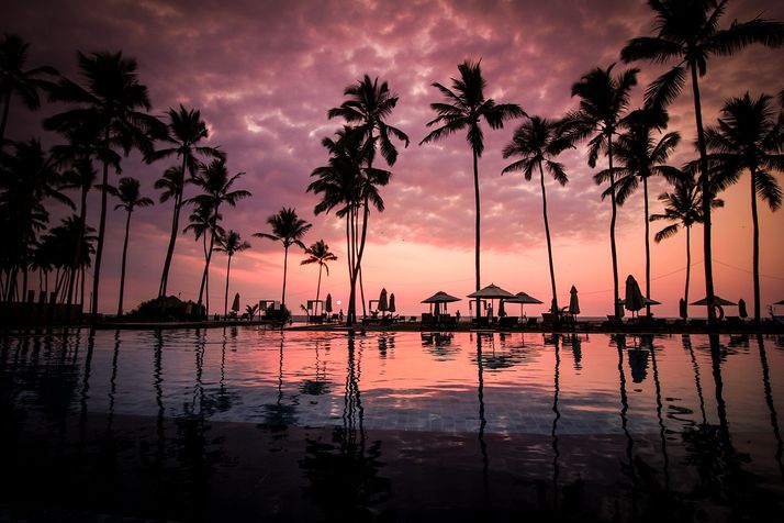 Resort pool with palm trees at sunset