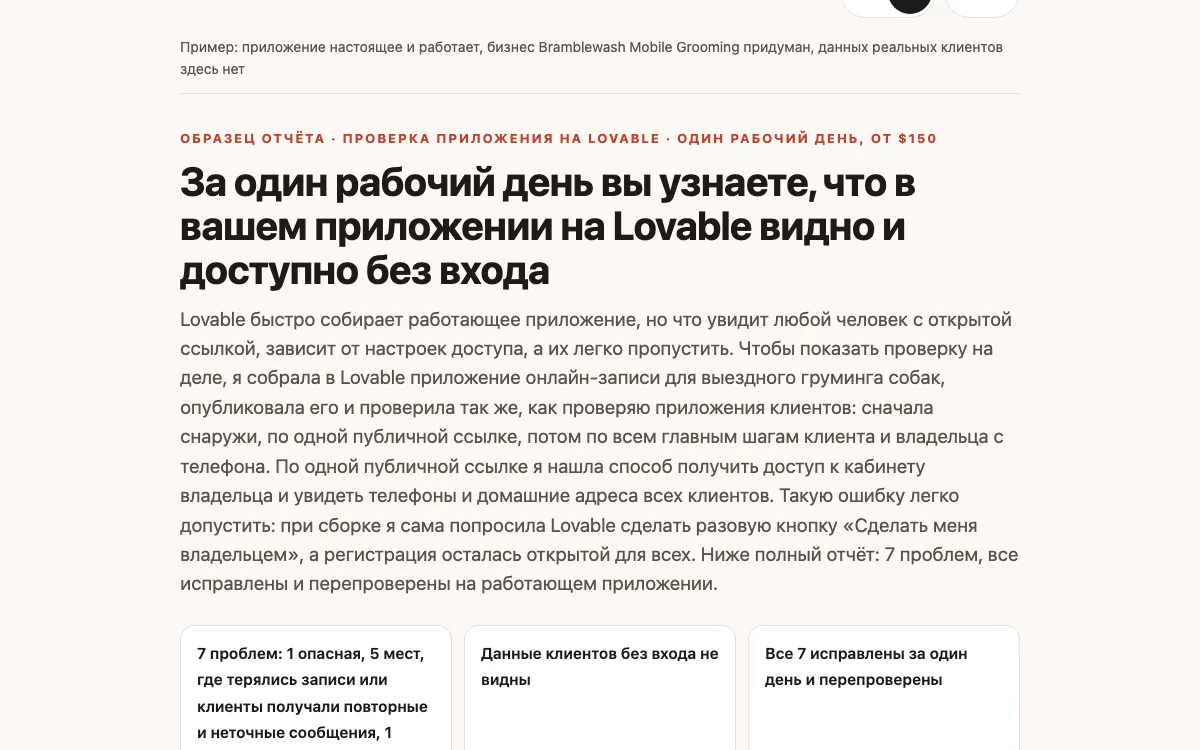 Снимок экрана: Проверка приложения на Lovable